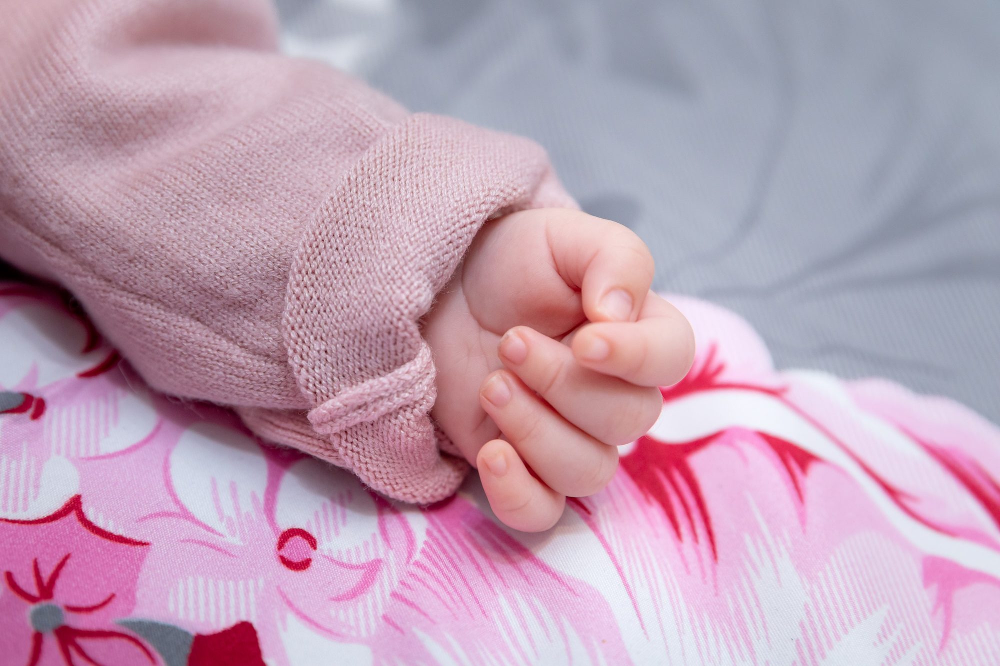 Portofoliu Botez - fotografie 45